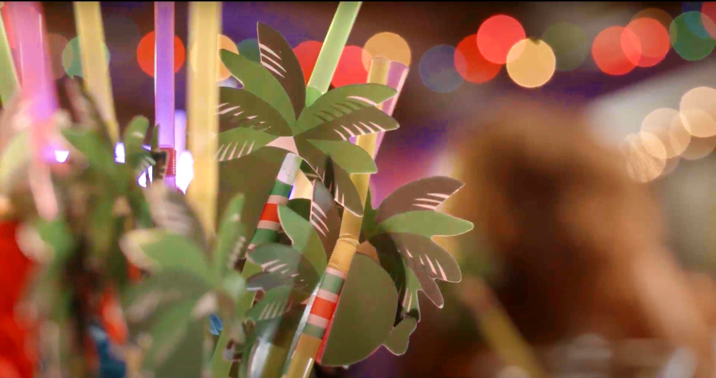 Back to Me, Stills 8