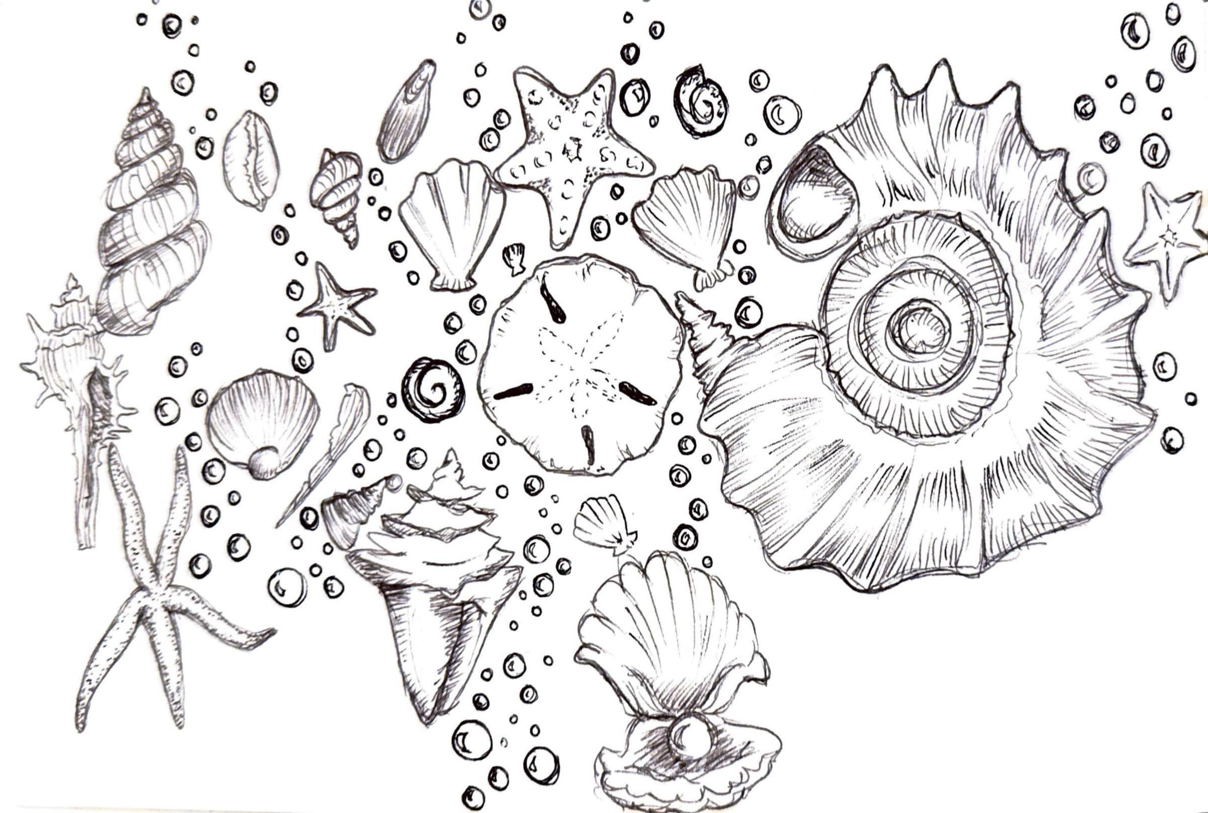 Sketchbook & Process, Sketchbook 8
