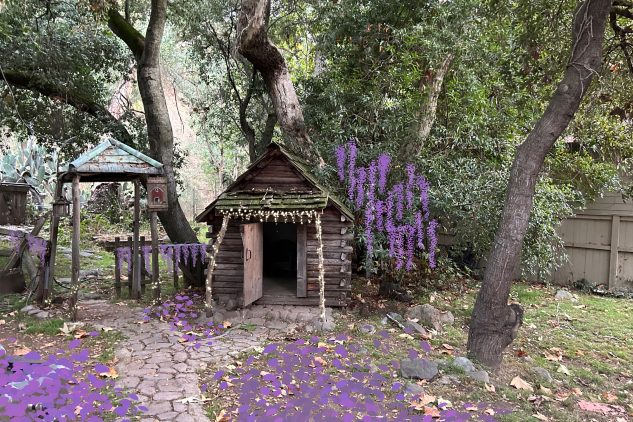 The Bonsai, Process & Plans 9