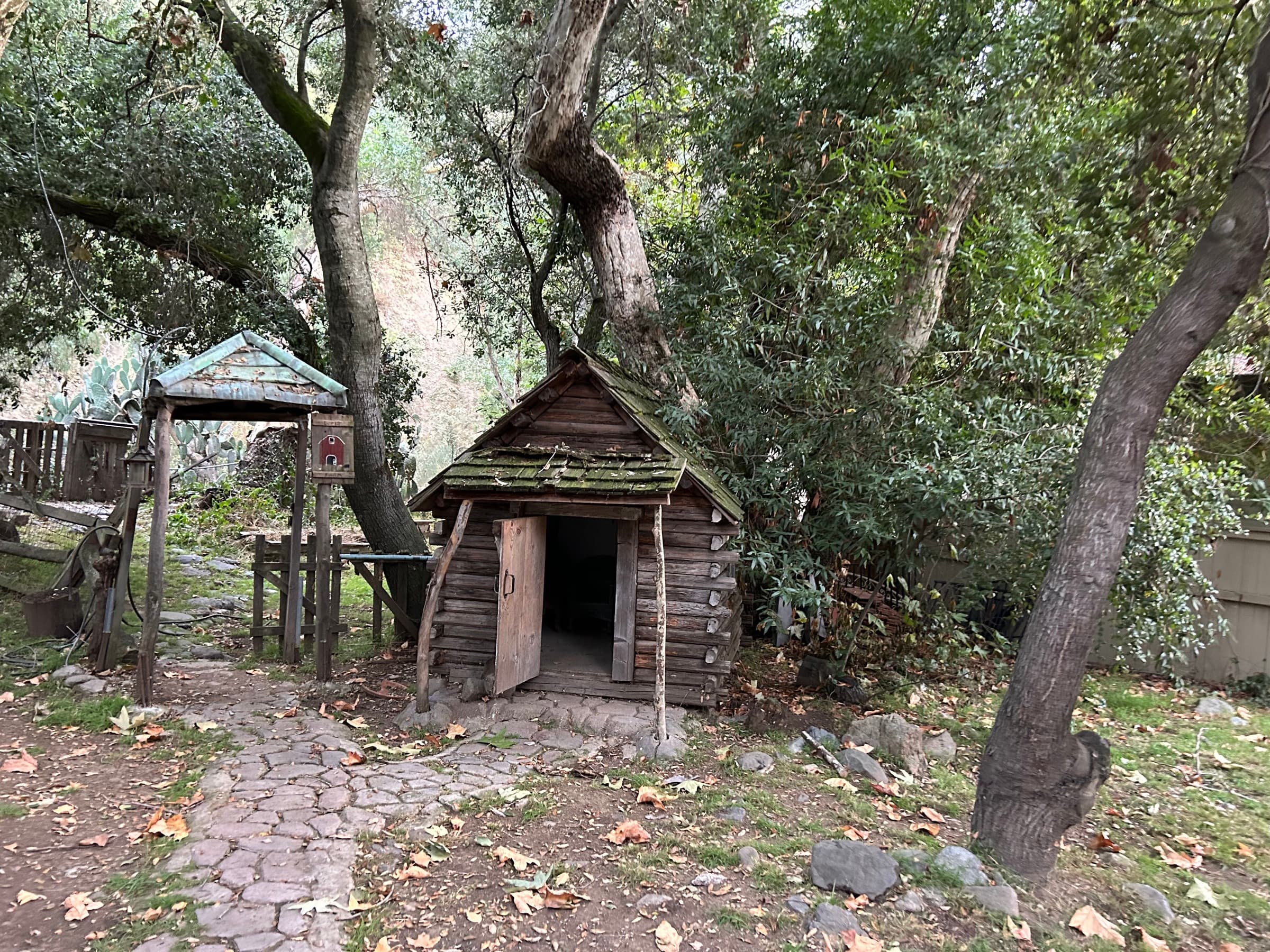 The Bonsai, Set & Location Photos 4