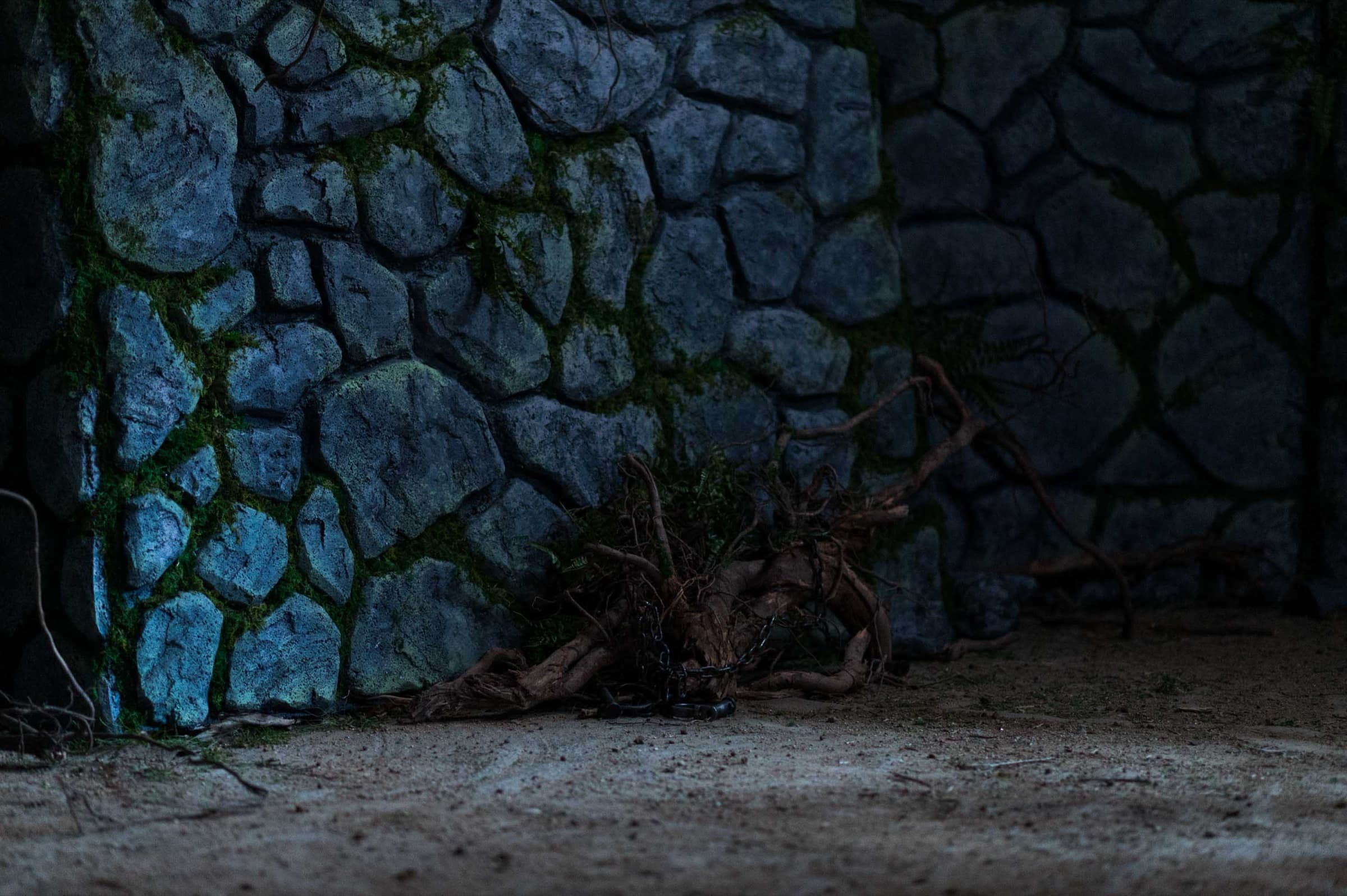 The Bonsai — Stills 2
