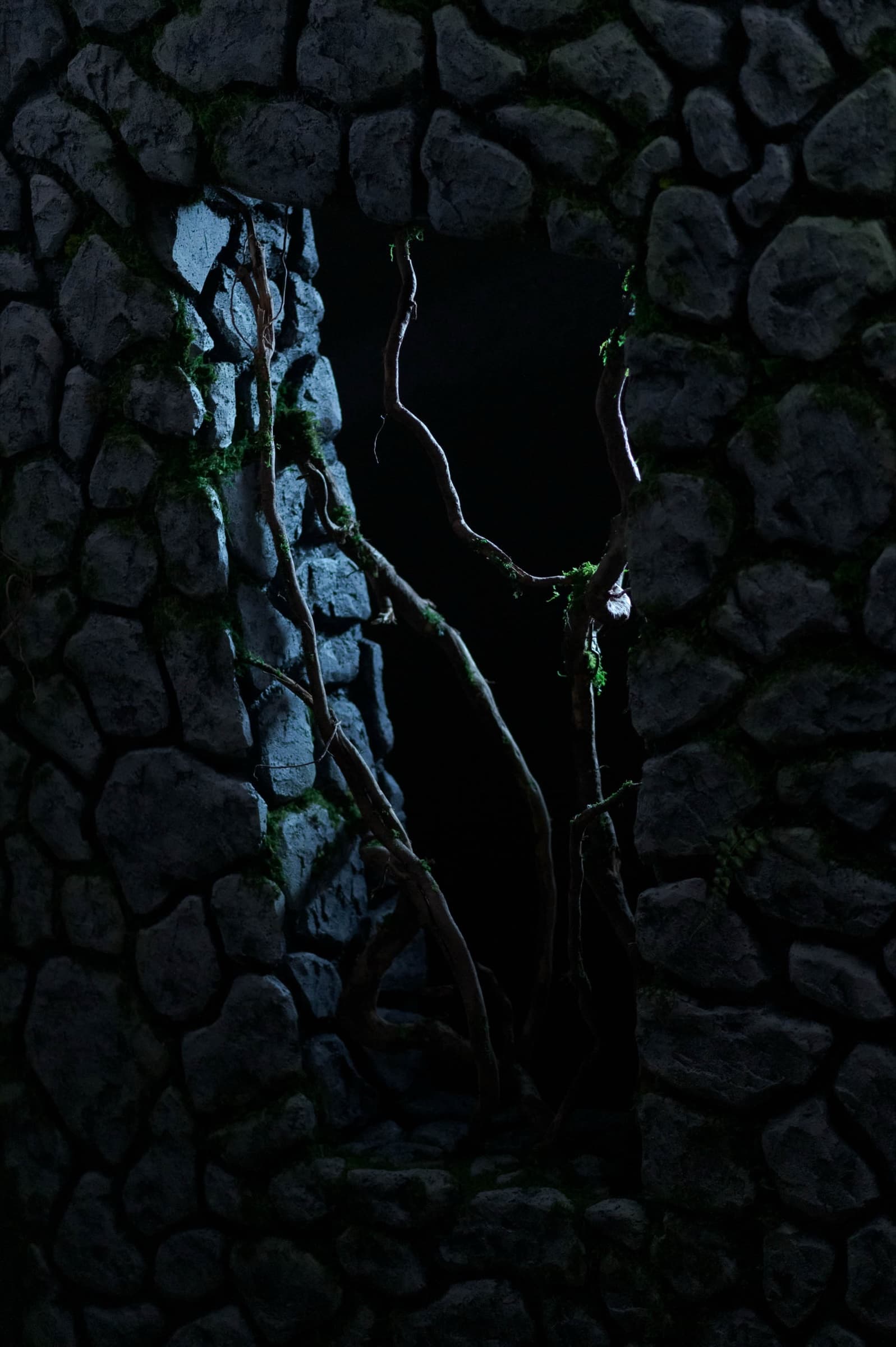 The Bonsai, Stills 3