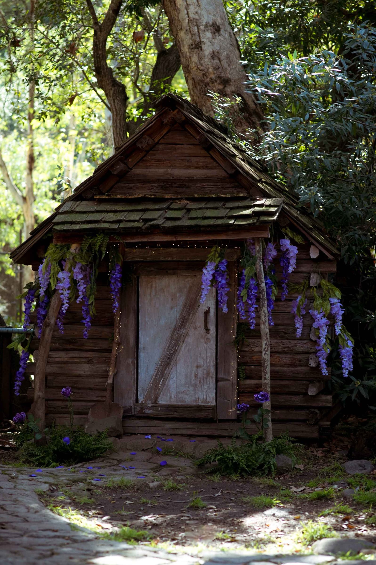 The Bonsai, Stills 4