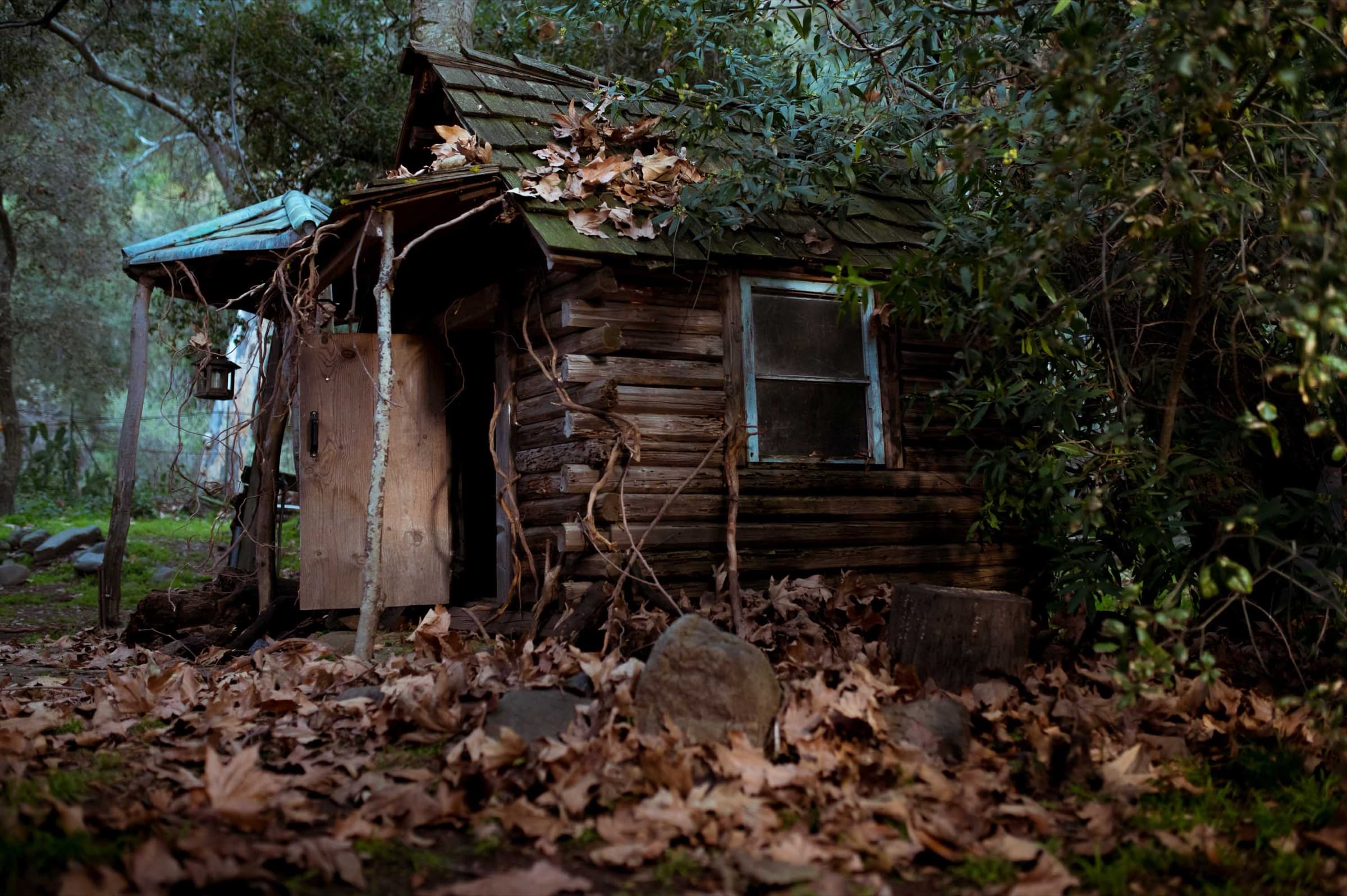 The Bonsai, Stills 6