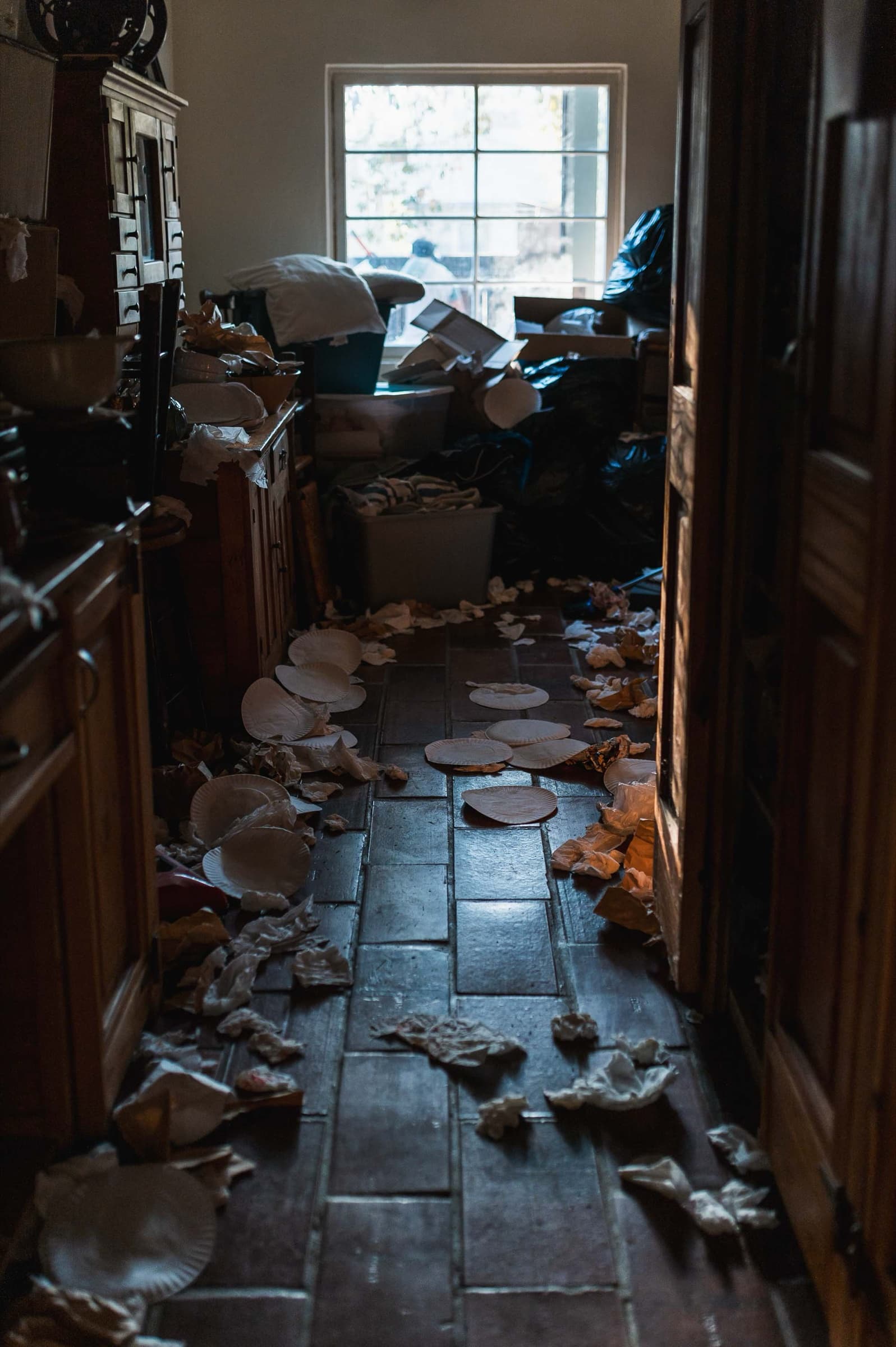 The Bonsai, Stills 7