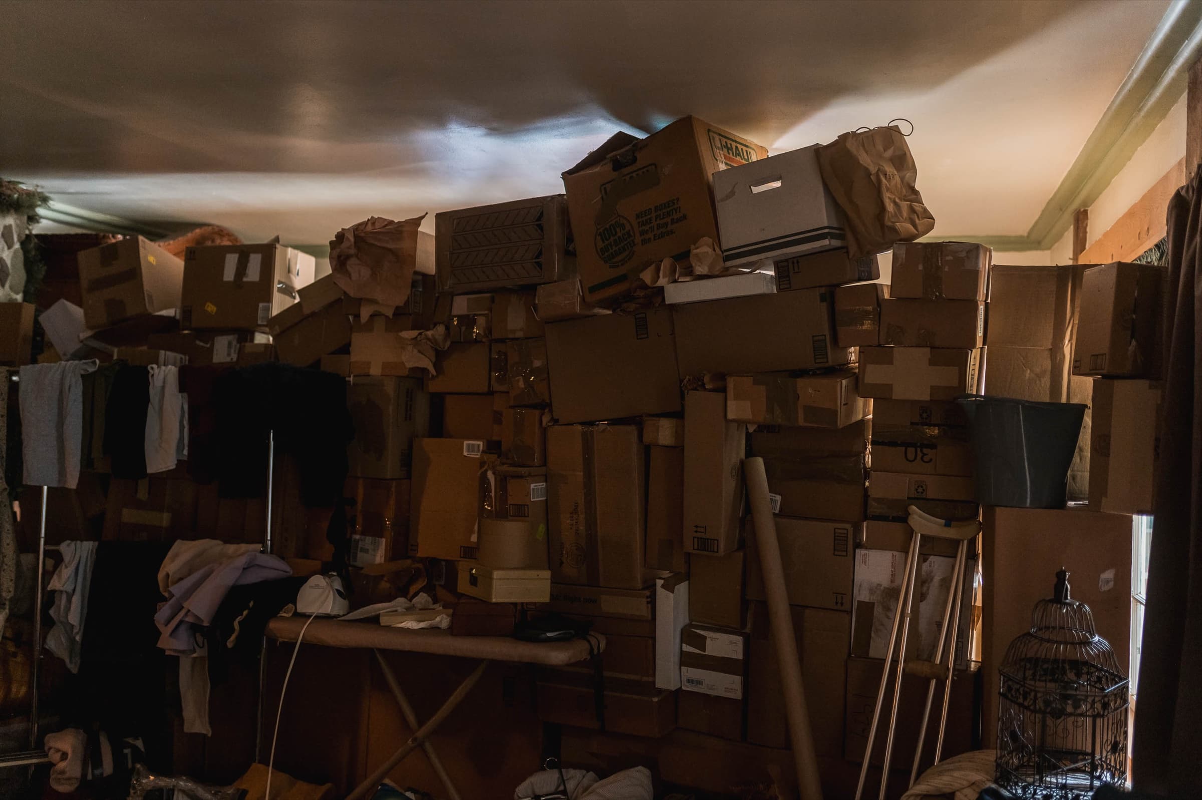 The Bonsai, Stills 8