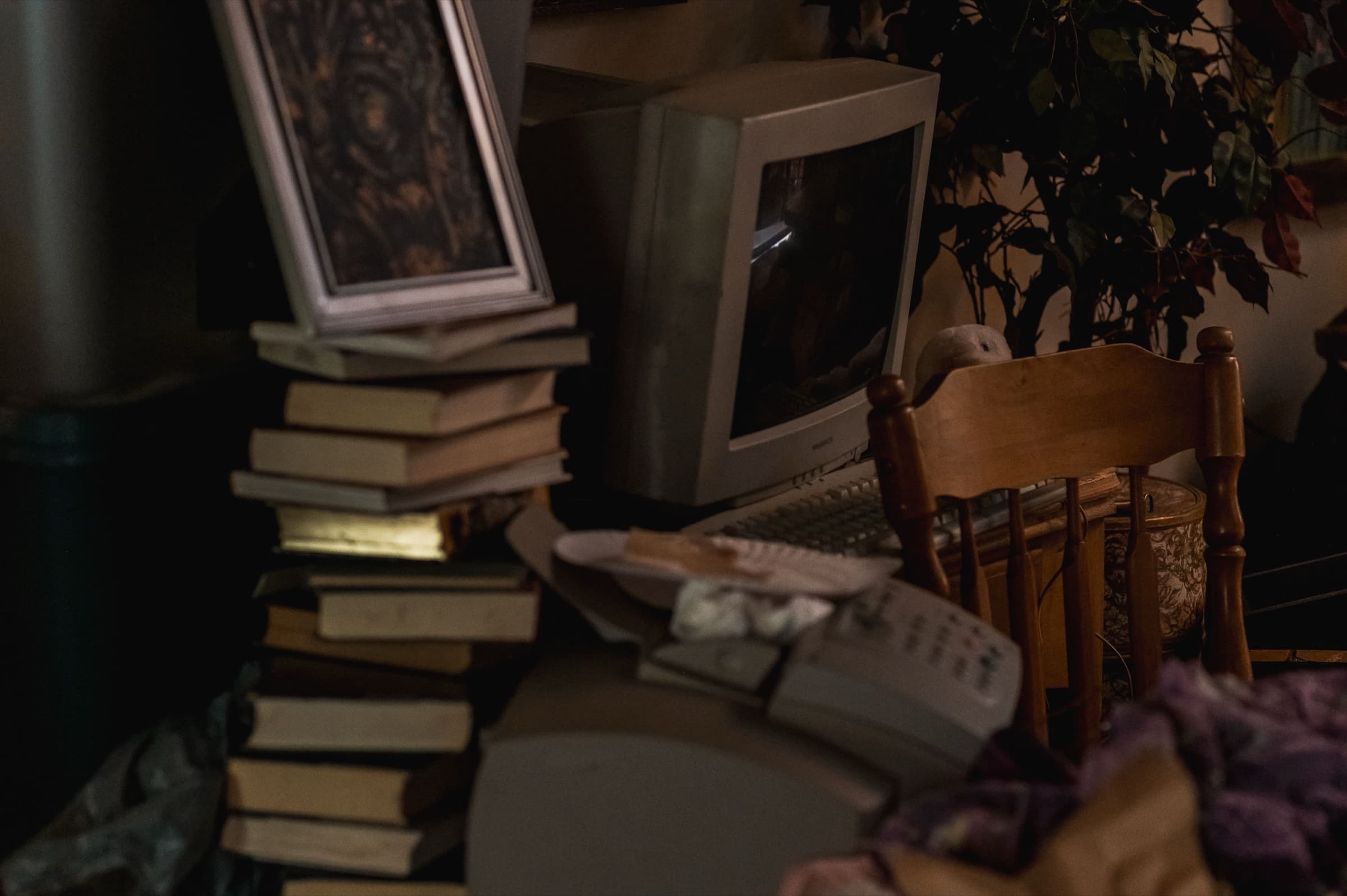 The Bonsai, Stills 9