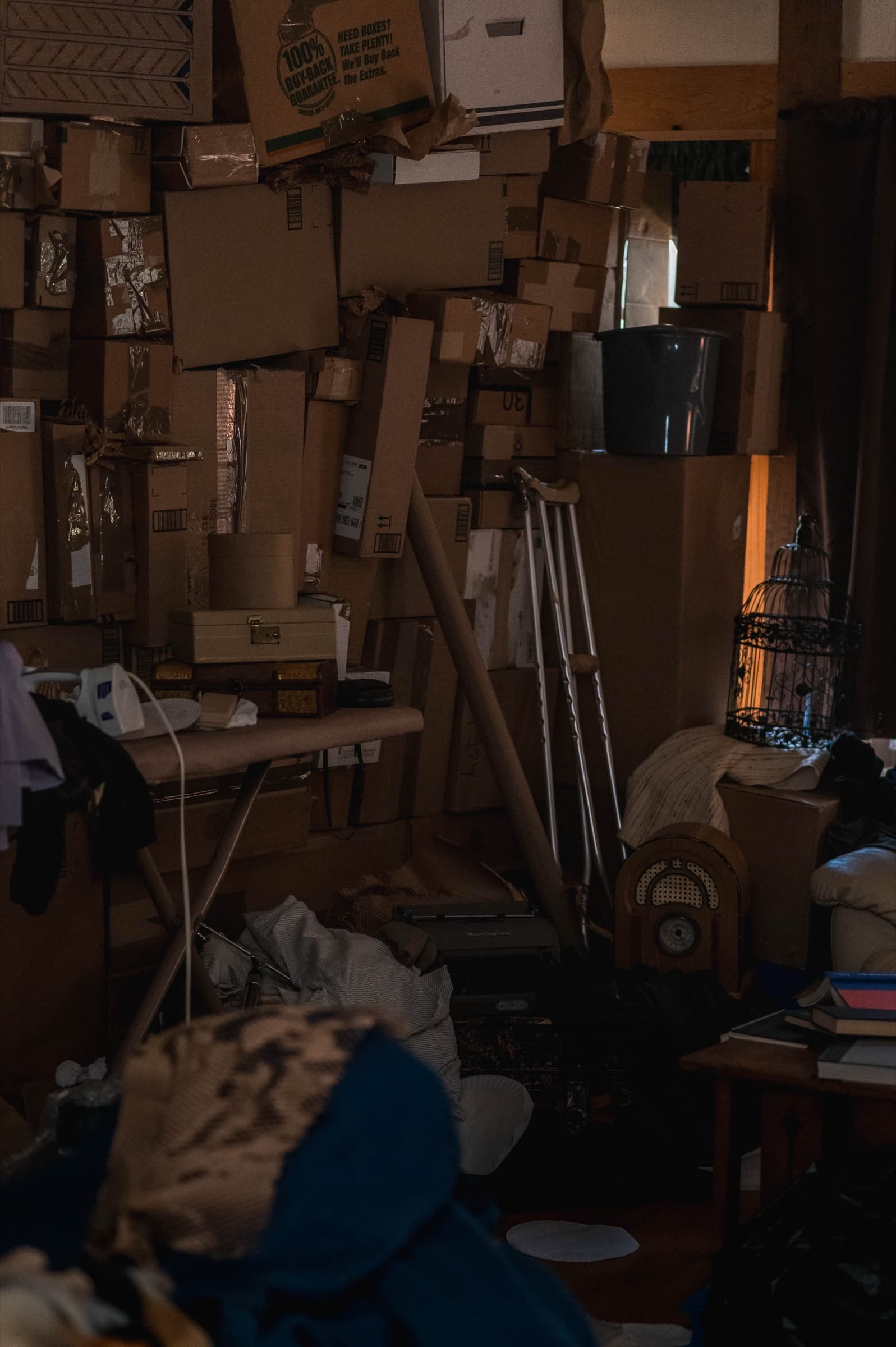 The Bonsai, Stills 11